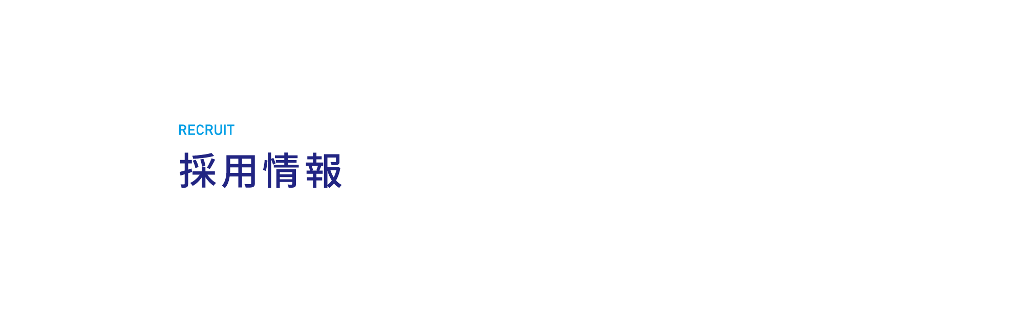 採用情報